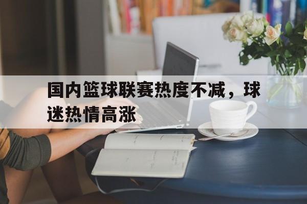 国内篮球联赛热度不减，球迷热情高涨的简单介绍